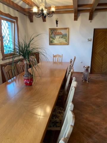 Wine House, Zidanica Gruden Villa Novo Mesto Ngoại thất bức ảnh