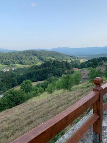 Wine House, Zidanica Gruden Villa Novo Mesto Ngoại thất bức ảnh